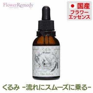 くるみ フラワーエッセンス《シャンドゥルール》20ml［国産フラワーエッセンス/グリセリンベース/アルコール不使用］