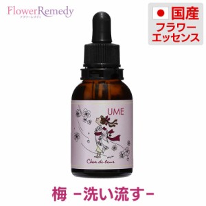 梅フラワーエッセンス《シャンドゥルール》20ml［国産フラワーエッセンス/グリセリンベース/アルコール不使用］