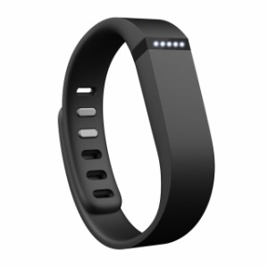 fitbit flex 2ペンダントの通販｜au PAY マーケット