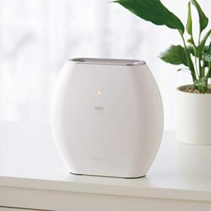 ディノス エアーツイストボディ ディノス 通販 健康 器具の通販｜au