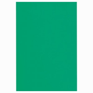 カウネット 色画用紙　四つ切　緑　５枚 4212-2593