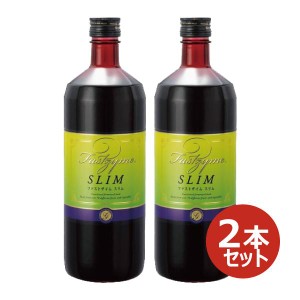 ファストザイムスリム 720ml x 2本セット ファスティング 生食 ローフード 酵素ドリンク 酵素飲料 乳酸菌 酵母 発酵熟成 原液 腸内環境 