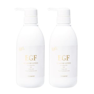 デマレ GF アミノローション 500ml 業務用 2本セット リニューアル版 EGアミノローション EGF グロスファクター ヒアルロン酸 化粧水