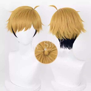 送料無料 ハロウィンコスプレ ハイキュー 風 みやあつむ コスプレウィッグ 激安 WIG 高温耐熱かつら