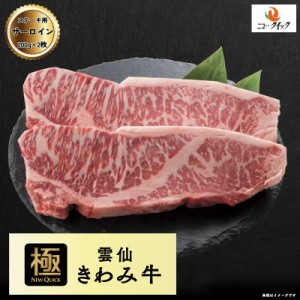 雲仙きわみ牛 国産牛 サーロイン ステーキ 用 400g (200g×2枚) 長崎県産 牛肉 サーロインステーキ ステーキ肉 国産牛 送料無料