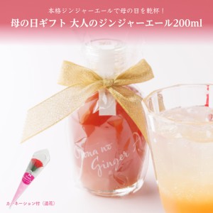 遅れてごめんね！母の日プチギフト 大人のジンジャーエール 200ml 送料無料(沖縄を除く)【母の日ギフト】[母の日プレゼント ジンジャーシ