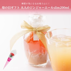 母の日プチギフト 大人のジンジャーエールSlim 200ml 送料無料(沖縄を除く)【母の日ギフト】[母の日プレゼント ドリンク ジンジャーシロ