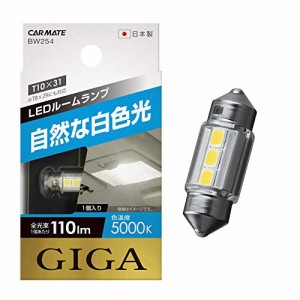 カーメイト 車用 LED ルームランプ GIGA 自然な白色光 T8×29・T10×31 5000K 110lm 1個入り BW254