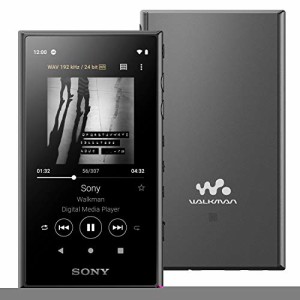 ソニー ウォークマン 32GB Aシリーズ NW-A106 : ハイレゾ対応 / MP3プレーヤー / bluetooth / android搭