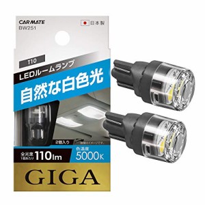 カーメイト 車用 LED ルームランプ GIGA 自然な白色光 T10 5000K 110lm 2個入り BW251