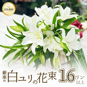 銀座の白ユリ 花束 プレゼント 花束 16輪 4本以上 送料無料 銀座の白ユリ ゆり 百合 フラワー 花 入学 母の日 父の日 プレゼント ギフト 