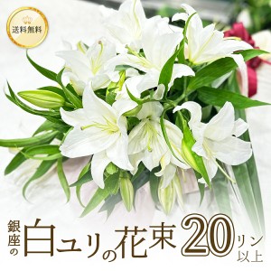 銀座の白ユリ 花束 プレゼント 20輪 5本以上 送料無料 ゆり 百合 花 ギフト 誕生日 お悔やみ お供え 結婚記念日 豪華 大輪系 オリエンタ