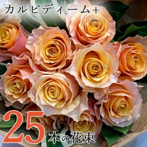 オレンジ バラ 25本の花束 カルピディーム+ あす楽13時まで 送料無料 送料込み 銀座の橙バラ 薔薇 ホワイトデー 卒業式 入学 ギフト 花束