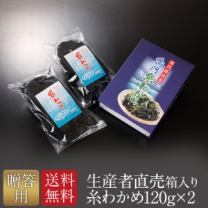 わかめ ワカメ 乾燥わかめ 糸わかめ 糸ワカメ 国産 鳴門海峡産 若布 生産者直売 生わかめ 120g×2個 鳴門産 国産品 免疫力 腸内細菌 お土