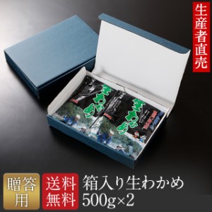 わかめ ワカメ 国産 鳴門海峡産 若布 生産者直売 生わかめ 500g×2個 鳴門産 国産品 免疫力 腸内細菌 お土産 帰省 塩蔵わかめ ギフト 贈