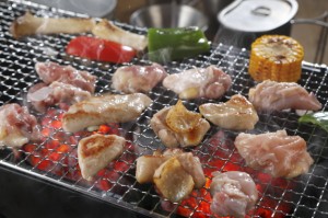 【5-6人前】純系 名古屋コーチン BBQセット 冷凍 国産 高級 地鶏 計20本 焼き鳥セット バーベキュー キャンプ アウトドア もも むね つく