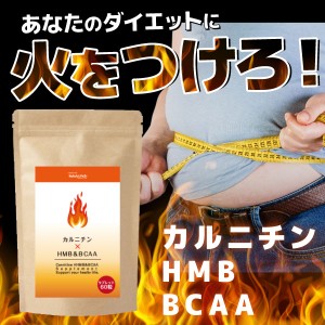 カルニチン＋HMB＆BCAA ダイエットサプリメント 燃焼系ダイエット αリポ酸 ブラックジンジャー サラシアエキス 白インゲン デキストリン