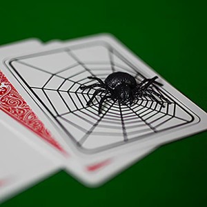 【手品 マジック】蜘蛛出現カード スパイダーカード 蜘蛛アピアリング カードマジック 近景マジック道具