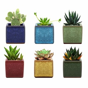 SquareIceCrack 植木鉢 6個入り Lewondr 多肉植物ポット プランター 陶器鉢 盆栽 窓飾り インテリア ミニ植物適用 2号サイズ 6.35*6.35*6