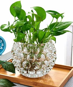 透明-大きい AIVAR 丸型 ガラス 花瓶 ガラス花瓶 金魚鉢 花器 ガラス フラワーベース 花瓶 花器 ガラスベース ガラスボトル アレンジ イ