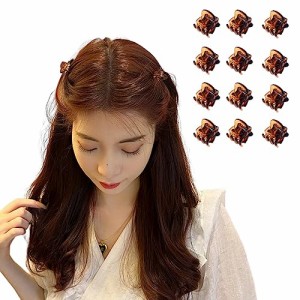 ブラウン ISHR ミニ ヘアクリップセット 12個セット バンスクリップ 前髪クリップ シンプルなヘアアクセサリー (ブラウン)