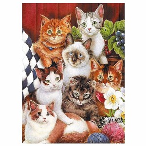 CHengQiSM 500ピース ジグソーパズル 猫 ネコの写真 パズル 500 動物 ネコ おしゃれ インテリア プレゼント(38ｘ52cm)