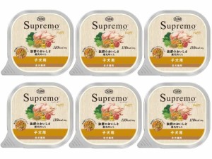 ニュートロ シュプレモ 子犬用 トレイ 100g×6個(まとめ買い)