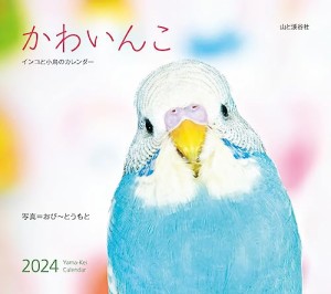カレンダー2024 かわいんこ インコと小鳥のカレンダー（月めくり/壁掛け） (ヤマケイカレンダー2024)