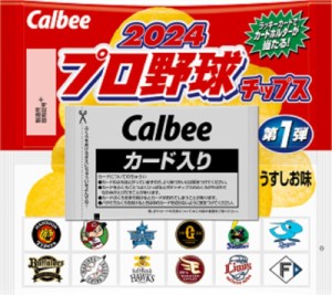 カルビー 2024 プロ野球チップス 22g×24個