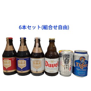 【組合せ自由】 ☆高アルコールビール有り☆　外国ビール６本セット