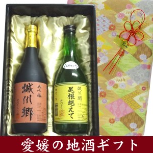 【日本酒ギフト箱入り 彩 】　城川郷　特別純米酒　尾根越えて・大吟醸　720ML　飲み比べセット【プレゼント】