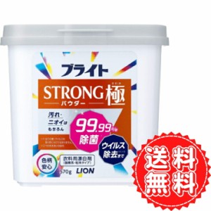 漂白剤 衣類用 酸素系 パウダー ブライト STRONG 極 粉末タイプ 本体 洗濯 つけ置き ウイルス 除菌 汚れ ニオイ ライオン 黄ばみ シミ 黒