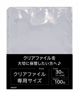 ハムデリー  差し替え式  クリアファイル収納ホルダー リフィル / 100枚セット [拘りの透明度/大容量/厚みと質感] ポケット クリア フ