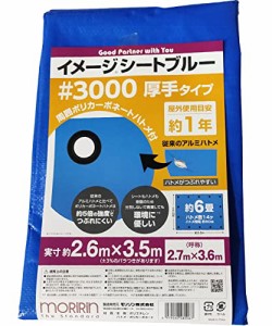 モリリン ブルーシート レジャーシート イメージシートブルー #3000 厚手 2.7×3.6m ポリカーボネートハトメ 使用目安約1年 1枚入