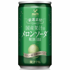 神戸居留地 厳選素材 国産果汁の メロンソーダ 缶 185ml×20本 [ 国産 メロン果汁 使用 国内製造]