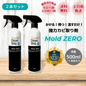 モールドゼロ カビ取り剤 モールドゼロ500ml MoldZERO 2本セット 掃除 業務用 じゅん散歩紹介商品