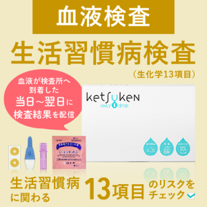 生活習慣病検査（生化学13項目） ketsuken（ケツケン）血液検査 糖尿病 痛風 動脈硬化 心臓病 コレステロール 中性脂肪 肝機能 腎機能