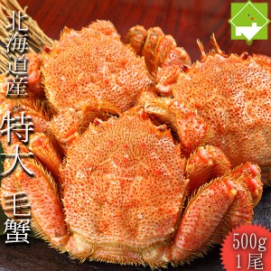 毛ガニ お歳暮 お中元 北海道産 毛蟹 1尾 500g 送料無料　別途送料が発生する地域あり