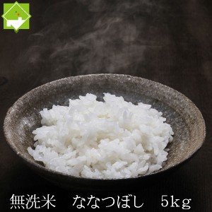 令和5年産　北海道産　無洗米　ななつぼし　５ｋｇ　送料無料