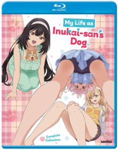 犬になったら好きな人に拾われた。 即納 全12話 BOXセット ブルーレイ Blu-ray 全12話 BOX コンプリート ワンダフル 全話  北米版 正規品