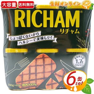 ≪2040g≫【RICHAM】東遠 リチャム ランチョンミート スパム 340g×6缶 100%ポーク 缶詰 保存食【コストコ】