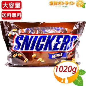 アメリカ お菓子の通販｜au PAY マーケット｜6ページ目