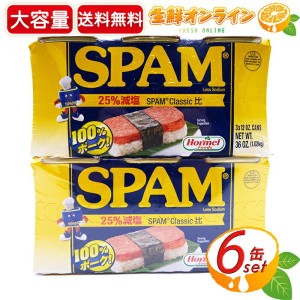 ≪1020g×2セット≫ ホーメルフーズ【SPAM】スパム ランチョンミート レスソルト 340g×6缶【コストコ】