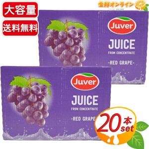 ≪1L×20本≫【Juver】フベル 100％ レッドグレープジュース ジュベル ブドウジュース フルールジュース【コストコ】
