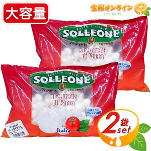 ≪1kg×2袋セット≫【SOLLEONE】ソル・レオーネ モッツァレラチーズ (牛乳) パールタイプ イタリア産 ナチュラルチーズ クール冷凍