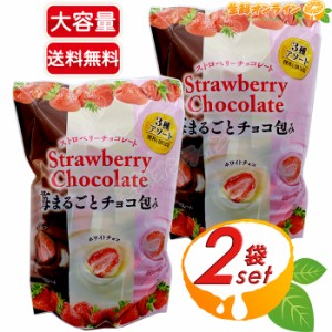 ≪410g×2袋セット≫【クリート】ストロベリーチョコレート 3種アソート ◎フリーズドライ苺をチョコでコーティング◎ いちごチョコ 苺チ