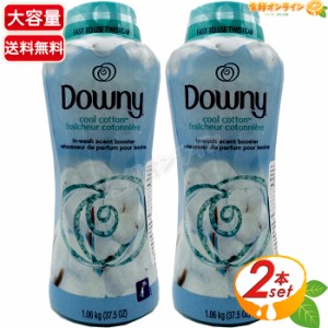 ≪1.06kg×2本セット≫【Downy】ダウニー クールコットン ビーズ 香りづけ専用 1060g 青 ブースター ビーズ 香り付けビーズ 香りづけ専用