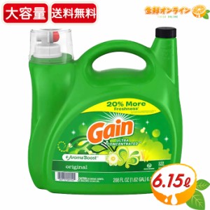 ≪6.15L≫【Gain】ゲイン オリジナル 洗濯洗剤 液体 衣料用洗剤 特大容量 159回 業務用 衣料用 洗濯洗剤 液体洗剤 濃縮タイプ【コストコ