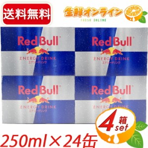 ≪250ml×24本≫【Red Bull】レッドブル エナジードリンク 大容量 24缶 炭酸飲料 ジュース  ◆エナジーあふれる1日に！◆【コストコ】