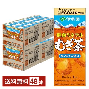 伊藤園 健康ミネラルむぎ茶 250ml 紙パック 24本×2ケース（48本） 送料無料